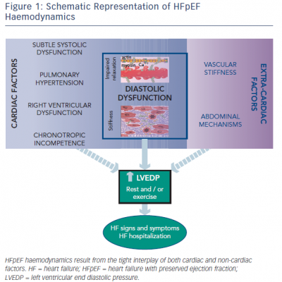 Figure 1 Schematic Representation of HFpEF Haemodynamics